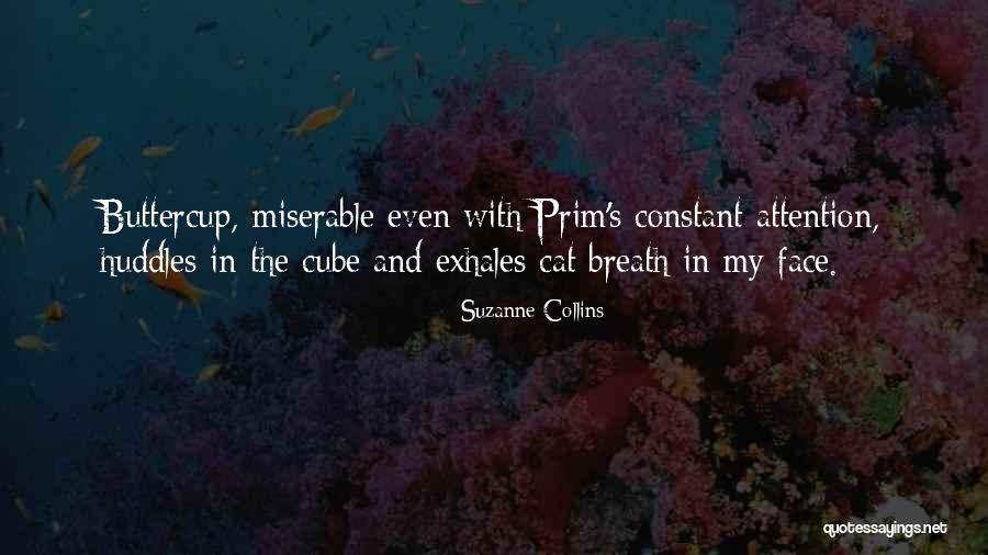Sardelli Food Quotes By Suzanne Collins Sardelli Food Quotes By Suzanne Collins