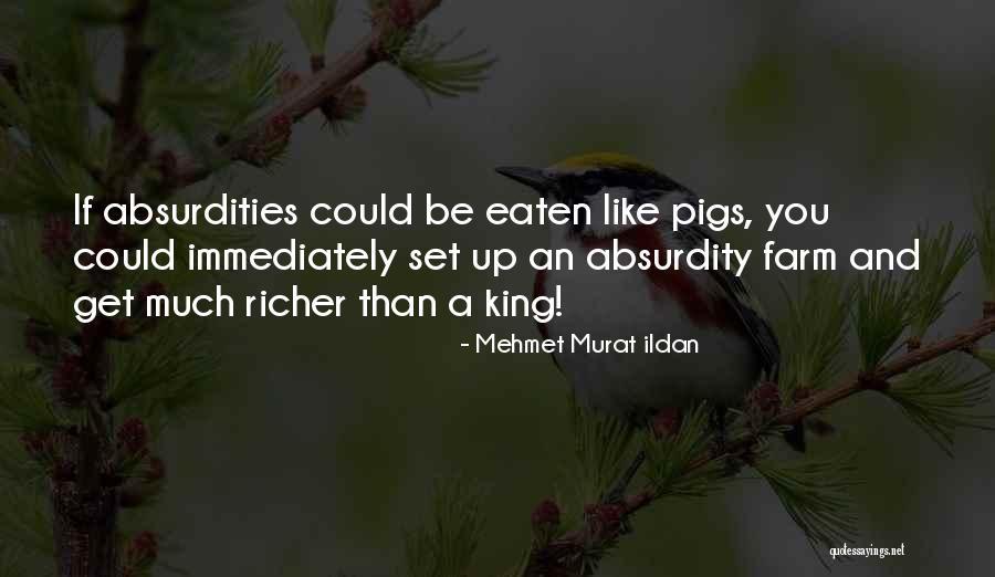 Sarenseuseti Quotes By Mehmet Murat Ildan Sarenseuseti Quotes By Mehmet Murat Ildan