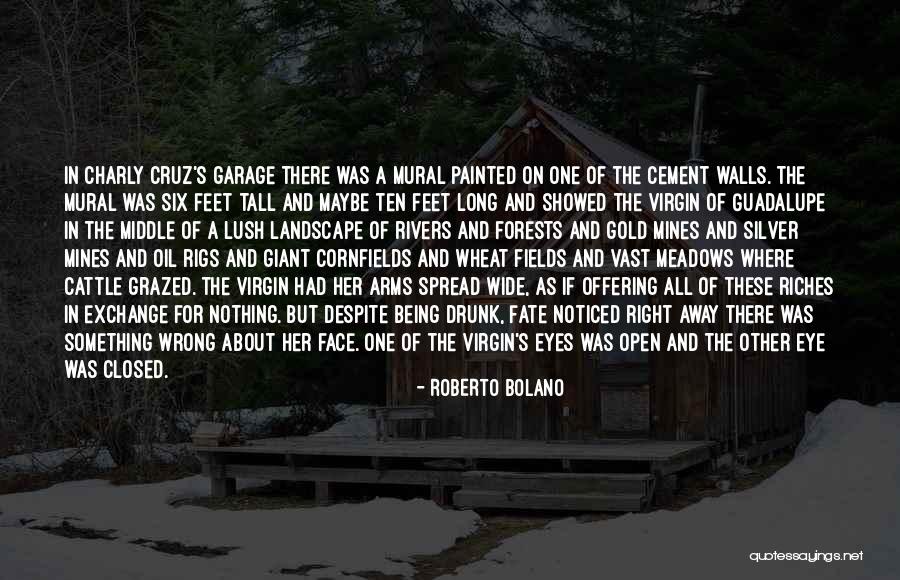 Sarhangnejad Quotes By Roberto Bolano Sarhangnejad Quotes By Roberto Bolano