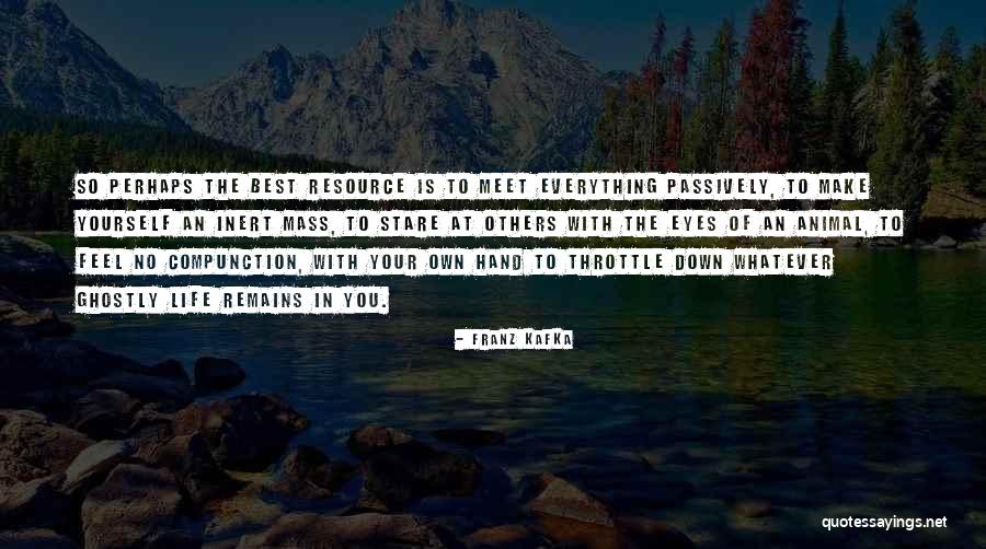 Sarju Panchal Quotes By Franz Kafka Sarju Panchal Quotes By Franz Kafka