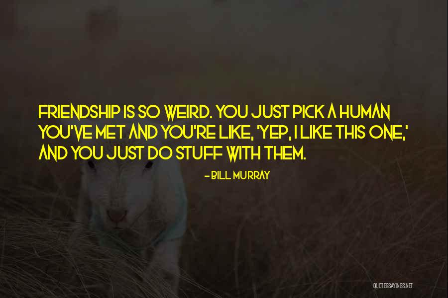 Sarkasme Dalam Quotes By Bill Murray Sarkasme Dalam Quotes By Bill Murray