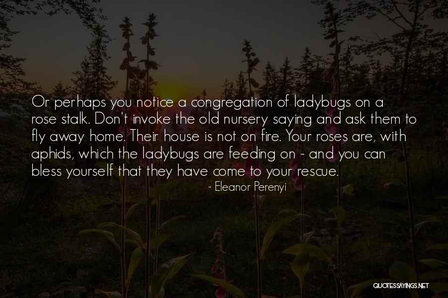Sarkozy Bakery Kalamazoo Quotes By Eleanor Perenyi Sarkozy Bakery Kalamazoo Quotes By Eleanor Perenyi