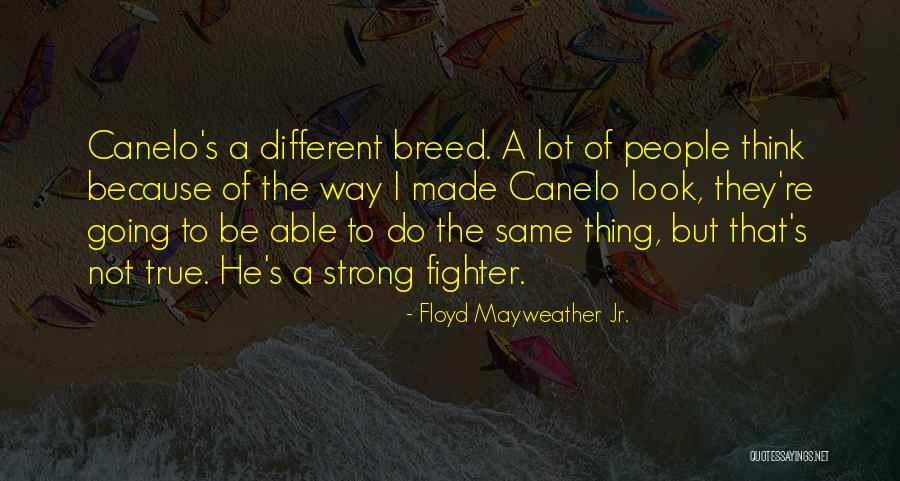Sarkozy Divorce Quotes By Floyd Mayweather Jr. Sarkozy Divorce Quotes By Floyd Mayweather Jr.