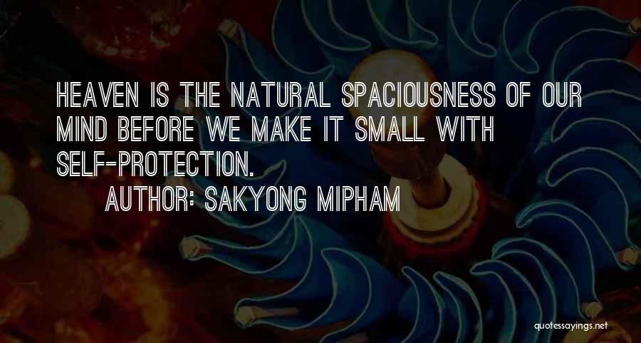 Sarlparas Quotes By Sakyong Mipham