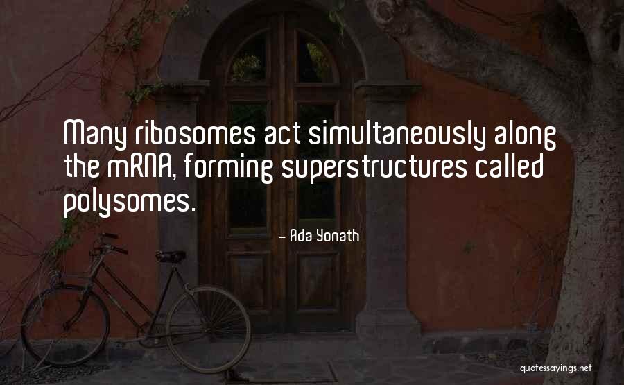 Sarmad Song Quotes By Ada Yonath Sarmad Song Quotes By Ada Yonath