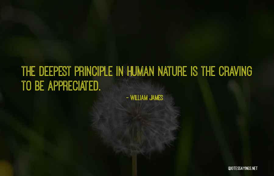 Sarman Nora Quotes By William James