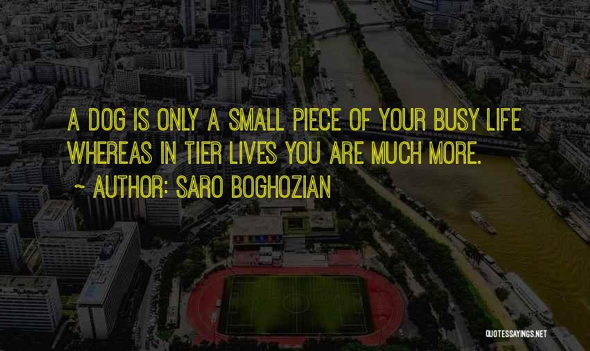 Saro Boghozian Quotes 1270075