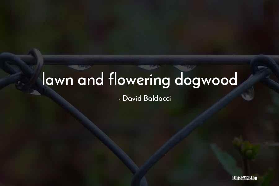Sarwat Valim Quotes By David Baldacci Sarwat Valim Quotes By David Baldacci