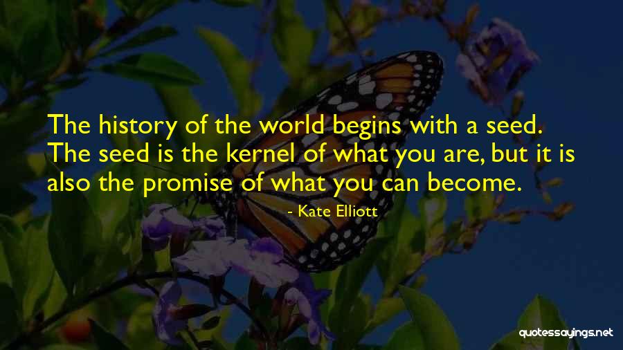 Sarwat Valim Quotes By Kate Elliott Sarwat Valim Quotes By Kate Elliott