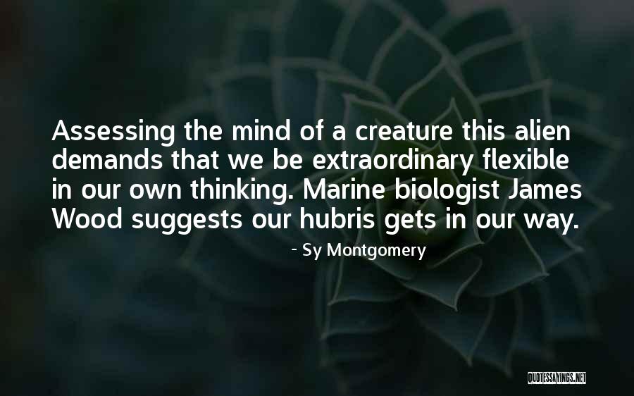 Sas Output Csv Quotes By Sy Montgomery Sas Output Csv Quotes By Sy Montgomery