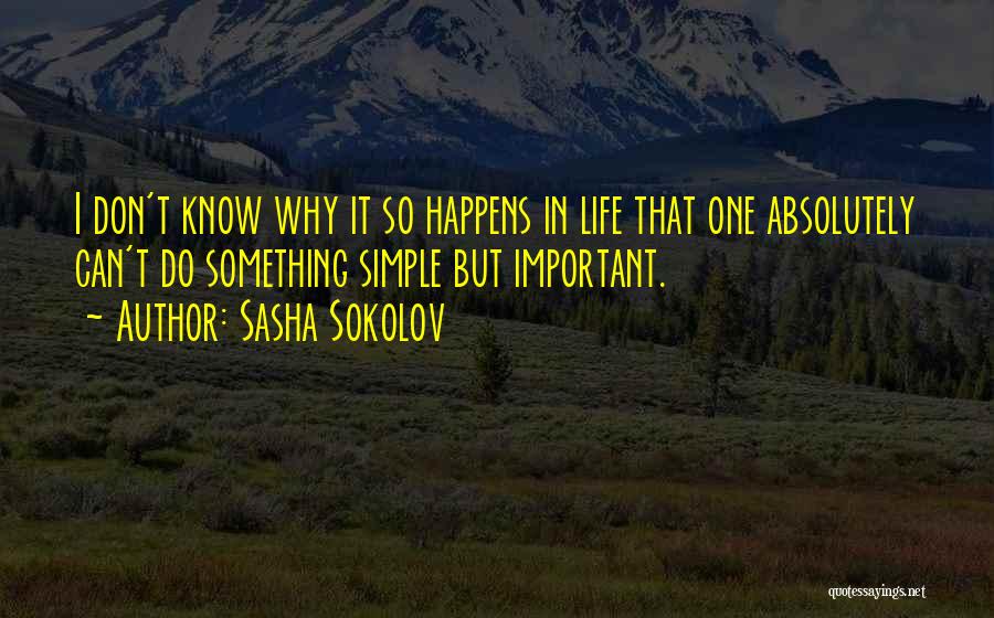 Sasha Quotes By Sasha Sokolov