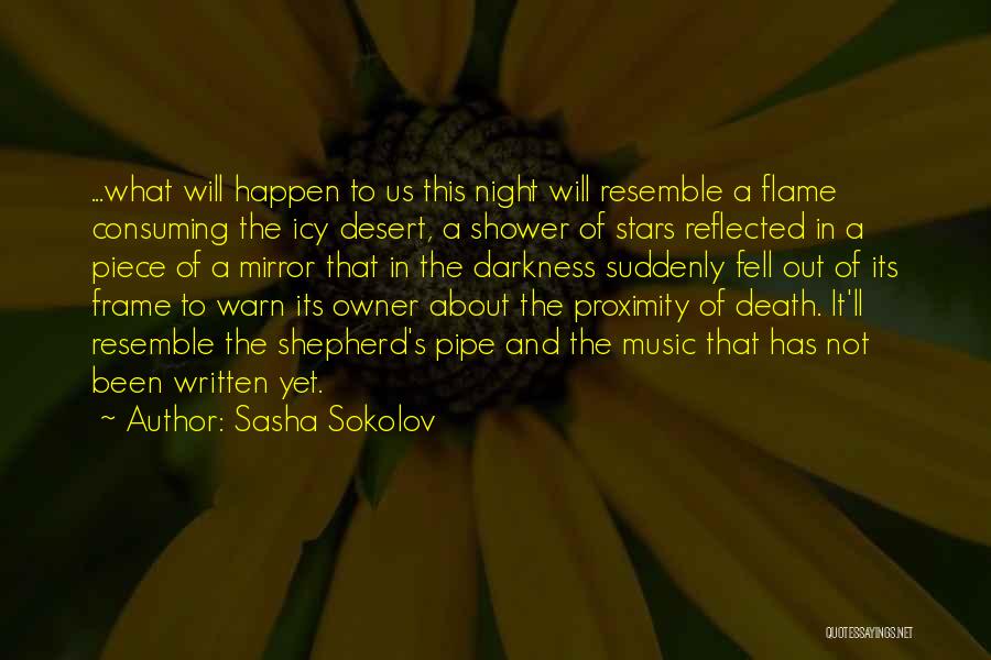 Sasha Sokolov Quotes 1781641