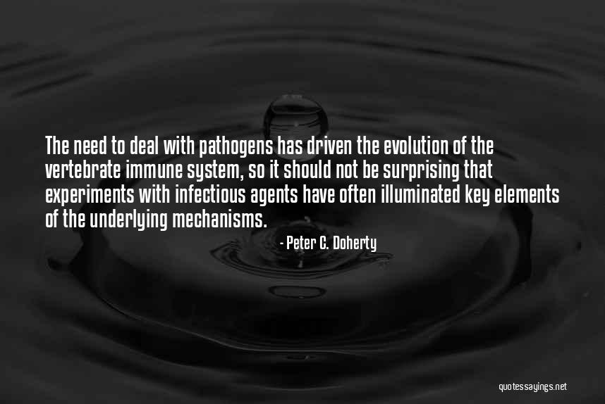Saskatchewan Insurance Quotes By Peter C. Doherty Saskatchewan Insurance Quotes By Peter C. Doherty
