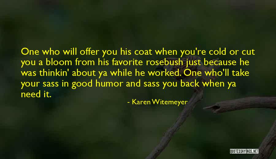 Sass Quotes By Karen Witemeyer