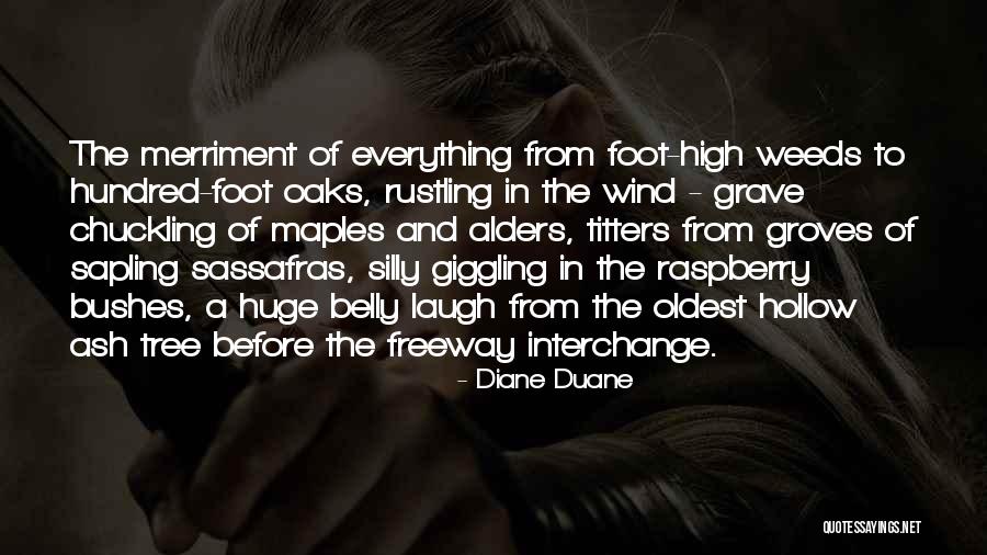 Sassafras Quotes By Diane Duane Sassafras Quotes By Diane Duane