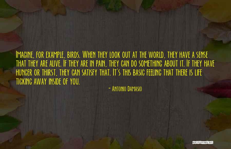 Sassoons Quotes By Antonio Damasio Sassoons Quotes By Antonio Damasio