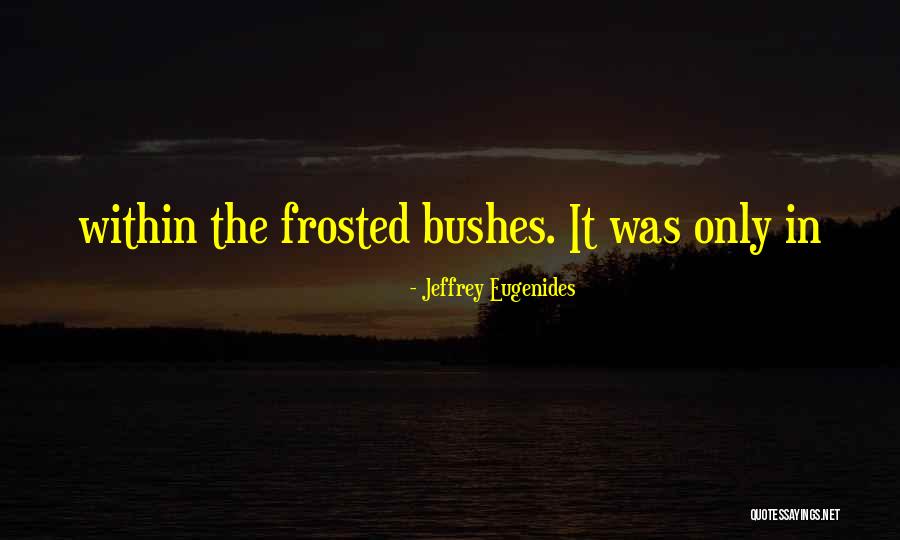 Sastre Quotes By Jeffrey Eugenides Sastre Quotes By Jeffrey Eugenides