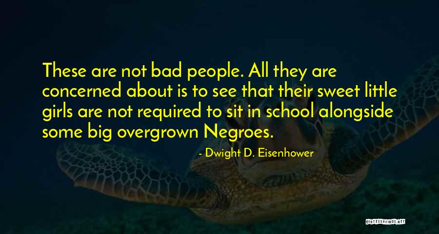 Sastrics Quotes By Dwight D. Eisenhower Sastrics Quotes By Dwight D. Eisenhower