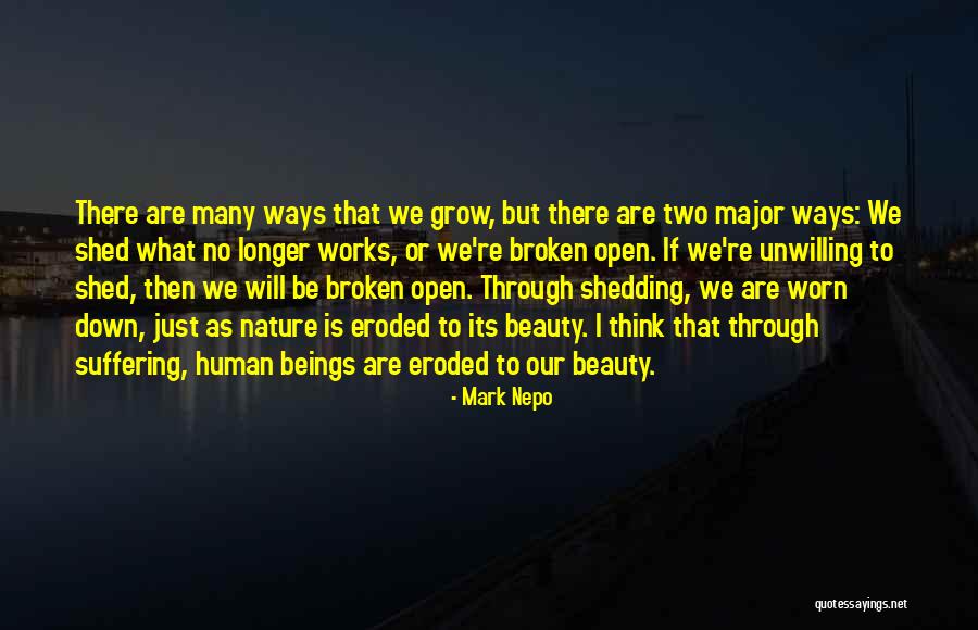 Saswata Basu Quotes By Mark Nepo Saswata Basu Quotes By Mark Nepo