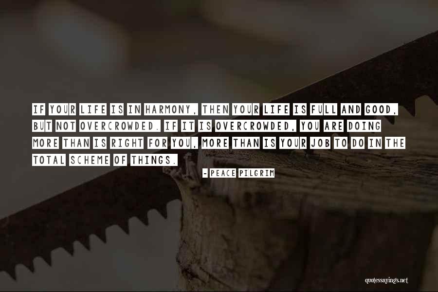 Saswata Sen Quotes By Peace Pilgrim Saswata Sen Quotes By Peace Pilgrim