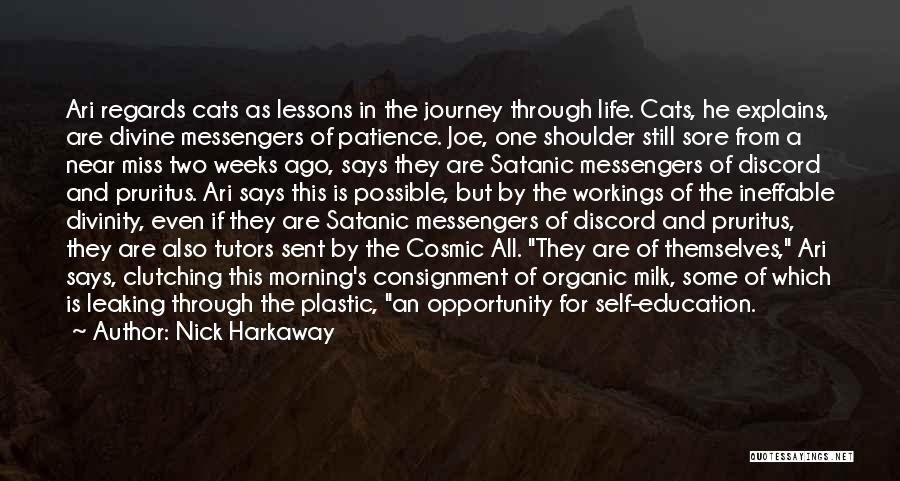 Satanic Quotes By Nick Harkaway