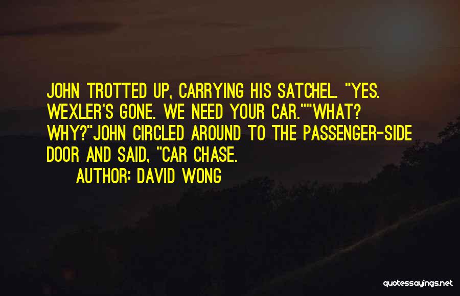 Satchel Quotes By David Wong