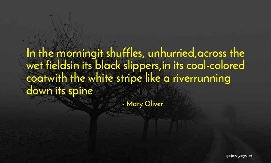 Satelliitti Quotes By Mary Oliver Satelliitti Quotes By Mary Oliver