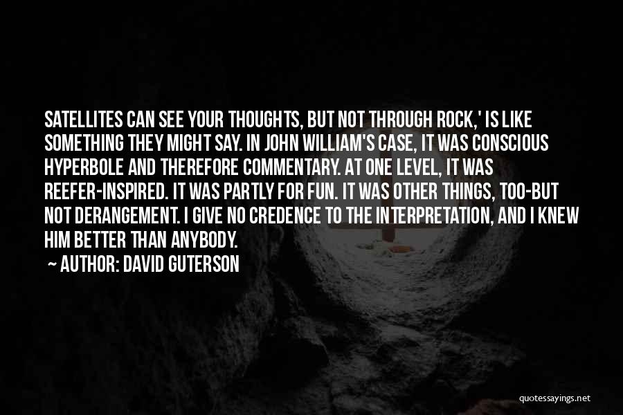 Satellites Quotes By David Guterson