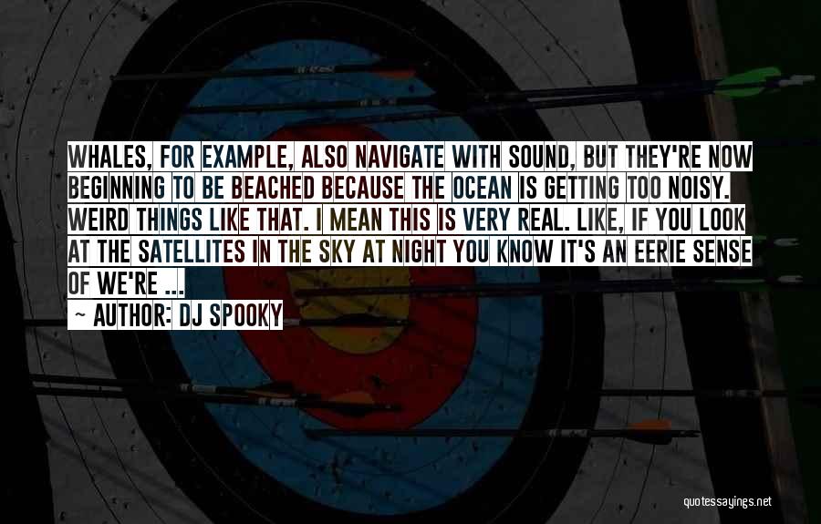 Satellites Quotes By DJ Spooky