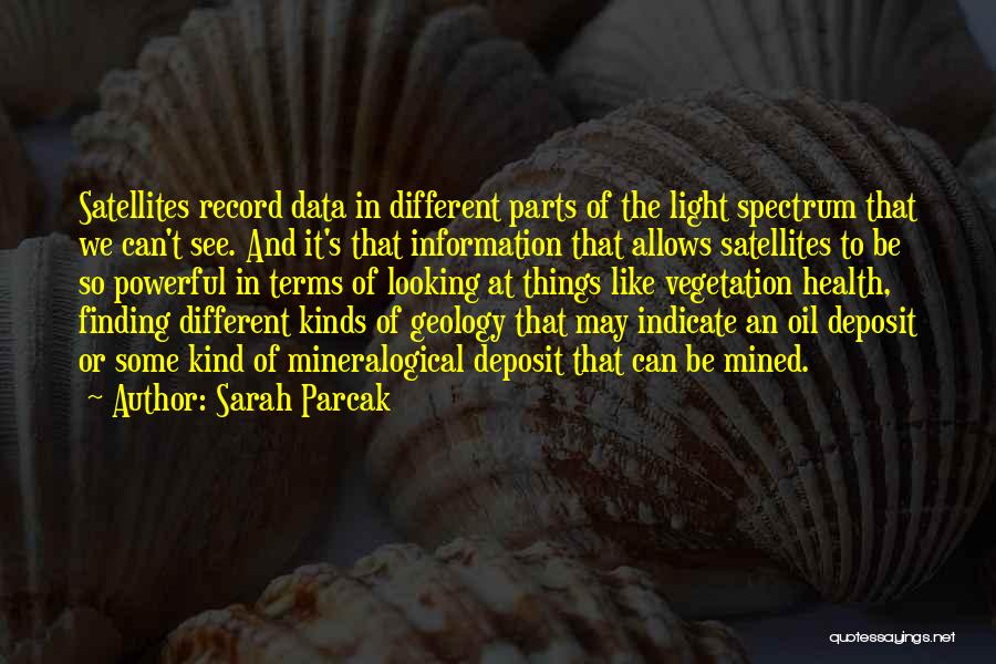 Satellites Quotes By Sarah Parcak