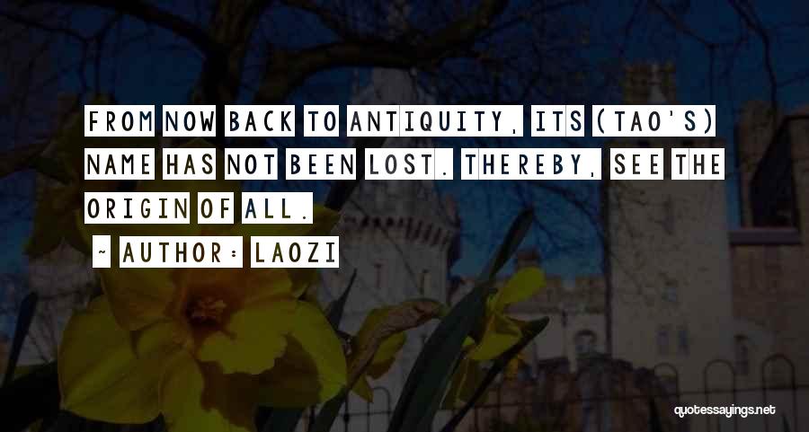 Satinsky Consulting Quotes By Laozi