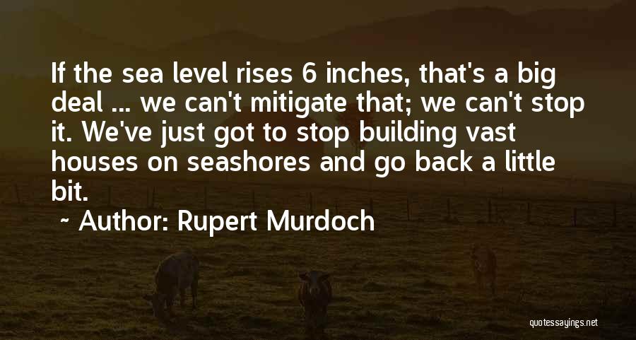 Satire Huck Finn Quotes By Rupert Murdoch