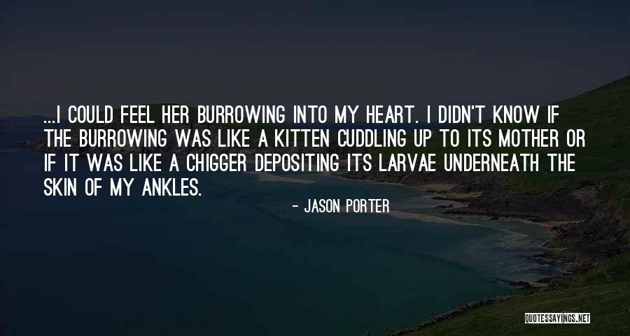 Satire Love Quotes By Jason Porter Satire Love Quotes By Jason Porter