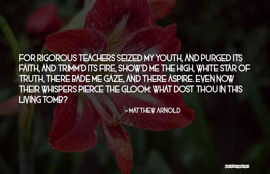 Satirist Baron Quotes By Matthew Arnold Satirist Baron Quotes By Matthew Arnold