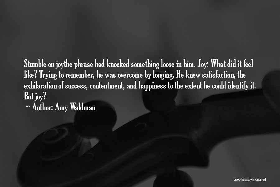 Satisfaction And Success Quotes By Amy Waldman