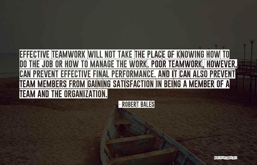 Satisfaction From Work Quotes By Robert Bales Satisfaction From Work Quotes By Robert Bales