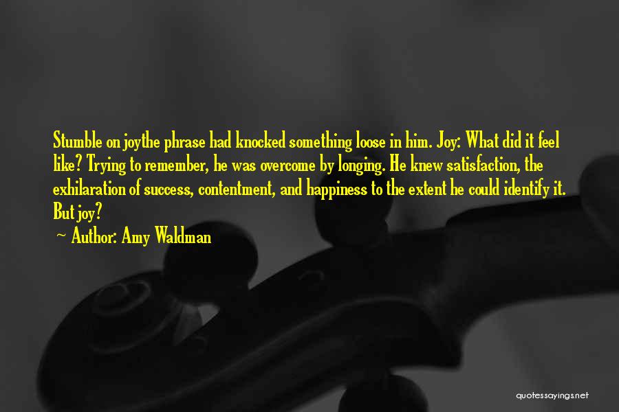 Satisfaction Happiness Quotes By Amy Waldman