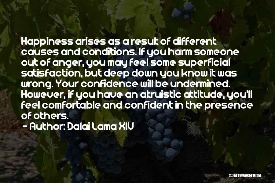 Satisfaction Happiness Quotes By Dalai Lama XIV