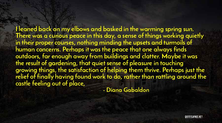 Satisfaction In Helping Others Quotes By Diana Gabaldon Satisfaction In Helping Others Quotes By Diana Gabaldon
