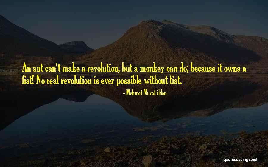 Satisfait Synonymes Quotes By Mehmet Murat Ildan Satisfait Synonymes Quotes By Mehmet Murat Ildan