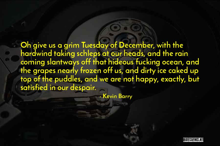 Satisfied And Happy Quotes By Kevin Barry