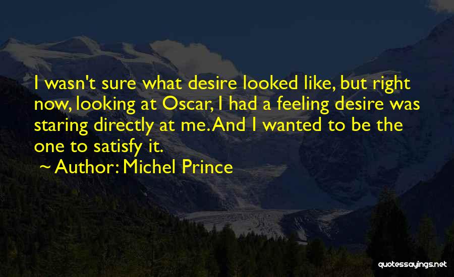 Satisfy Me Quotes By Michel Prince