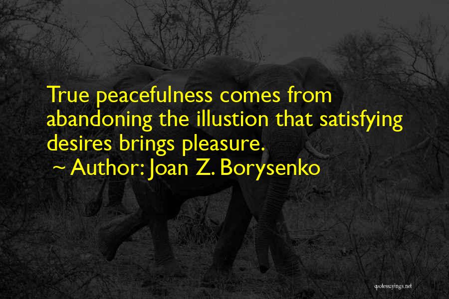 Satisfying Quotes By Joan Z. Borysenko