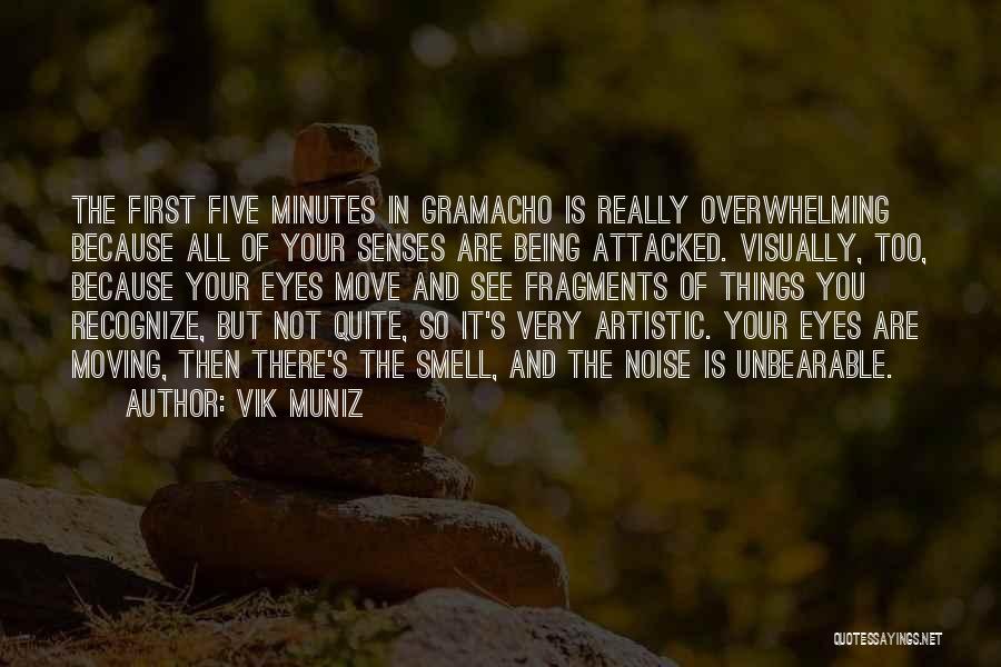 Satnarine Vrat Quotes By Vik Muniz Satnarine Vrat Quotes By Vik Muniz