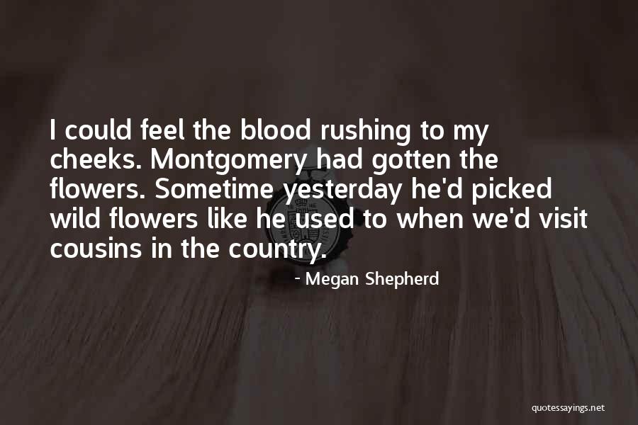 Satoko Ishimine Quotes By Megan Shepherd Satoko Ishimine Quotes By Megan Shepherd