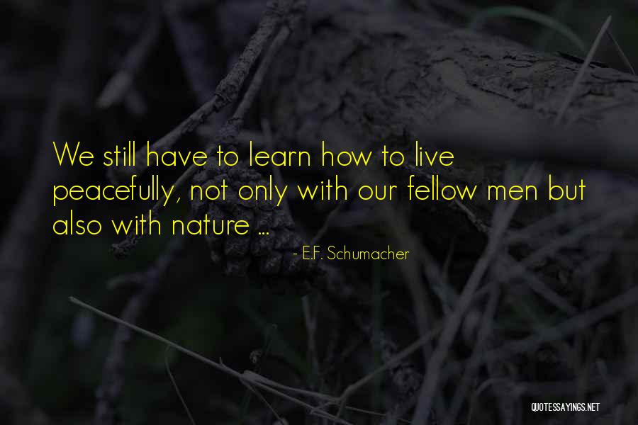 Satoko Yamanouchi Quotes By E.F. Schumacher Satoko Yamanouchi Quotes By E.F. Schumacher