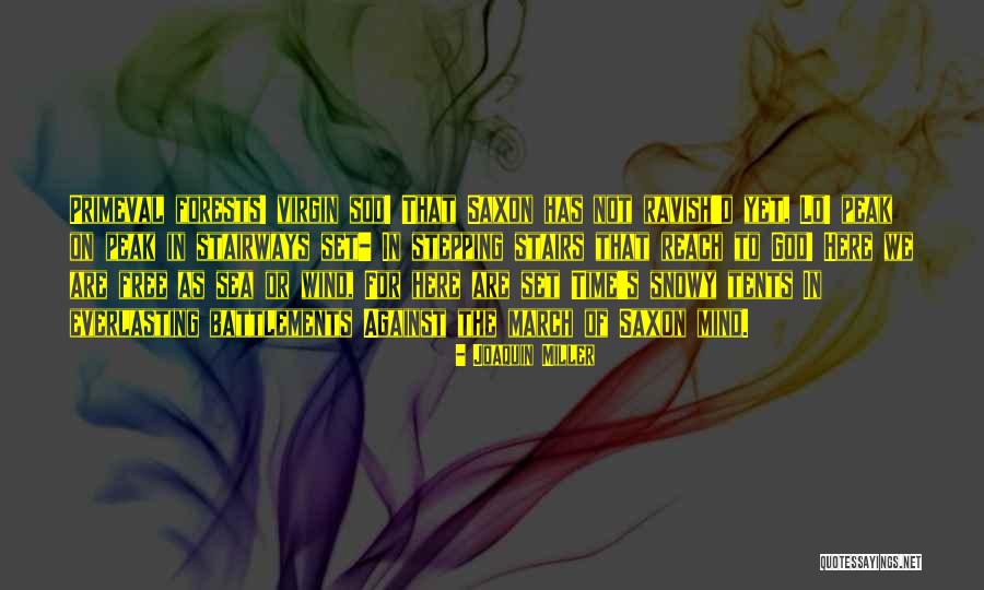 Satonaka Shizuru Quotes By Joaquin Miller Satonaka Shizuru Quotes By Joaquin Miller