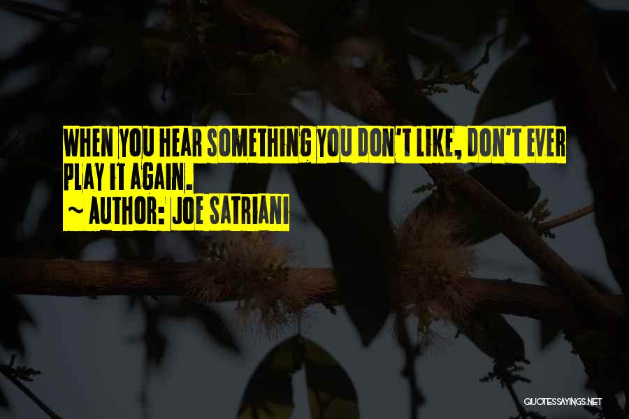 Satriani Quotes By Joe Satriani