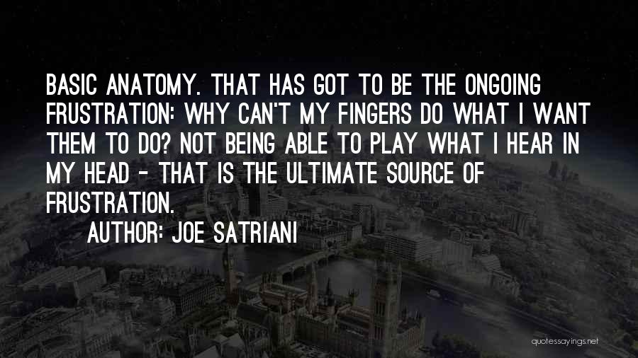 Satriani Quotes By Joe Satriani