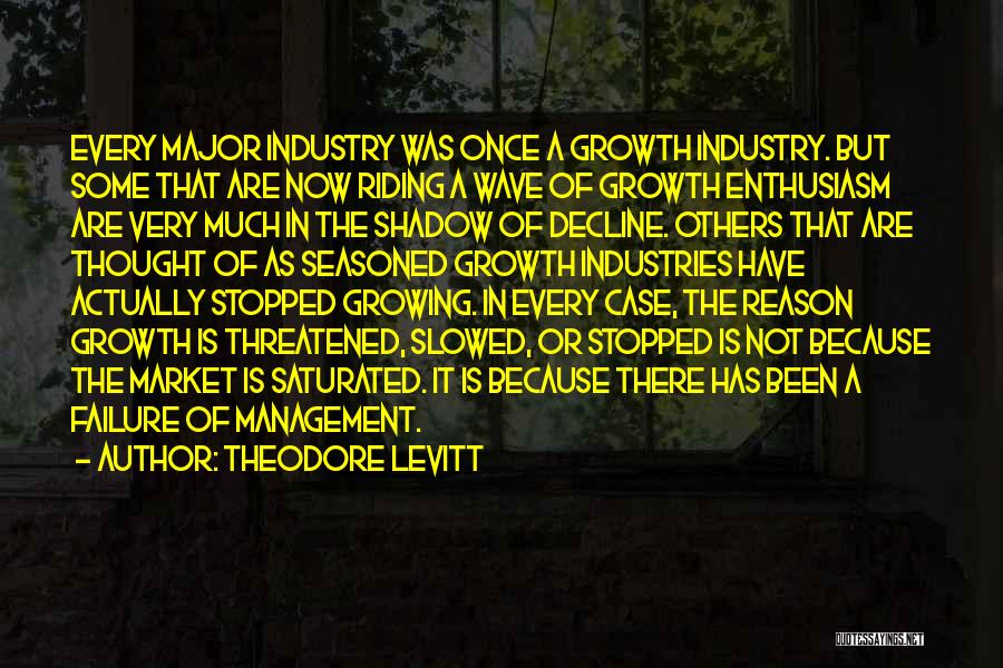 Saturated Market Quotes By Theodore Levitt